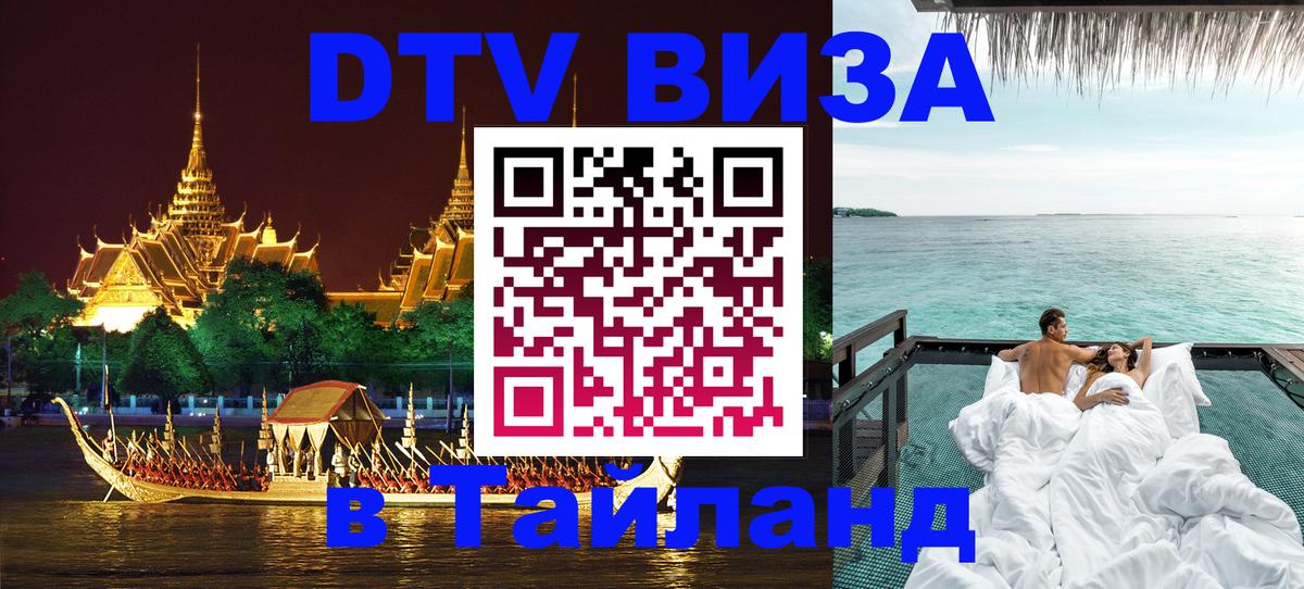 Сколько стоит DTV виза — актуальные цены, оформление даже без документов - Кишинёв  18.11.2025 